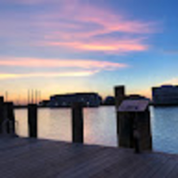 Meet your Posher, Ella - Picture 1 of 1